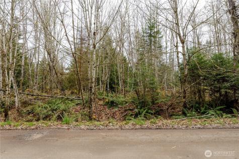 9999 Runamuck Lane Port Angeles WA 98362
