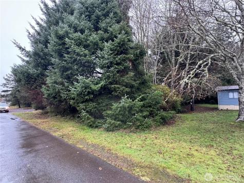 682 Copalis Avenue NE Ocean Shores WA 98569