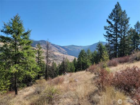 9999 Lone Ranch Road Danville WA 99121