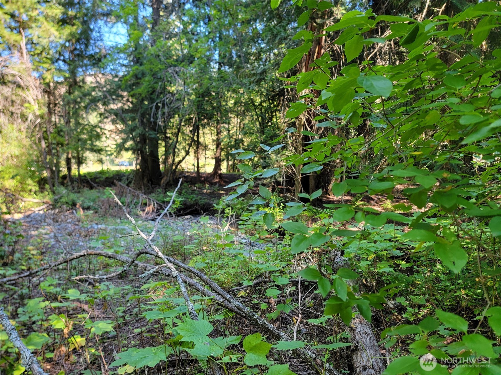 9999 Lone Ranch Road Danville WA 99121