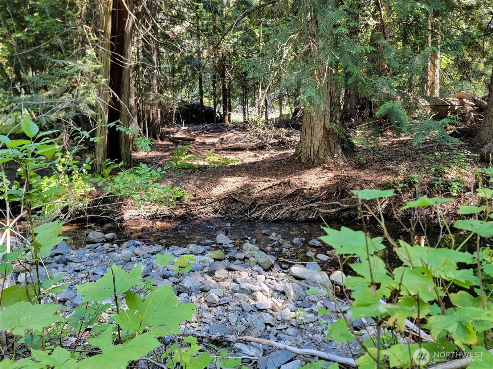 9999 Lone Ranch Road Danville WA 99121