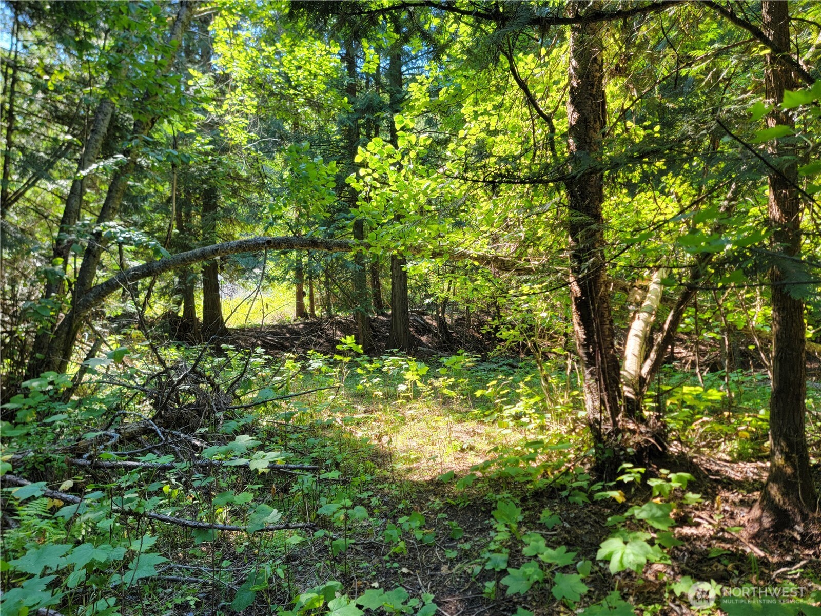 9999 Lone Ranch Road Danville WA 99121