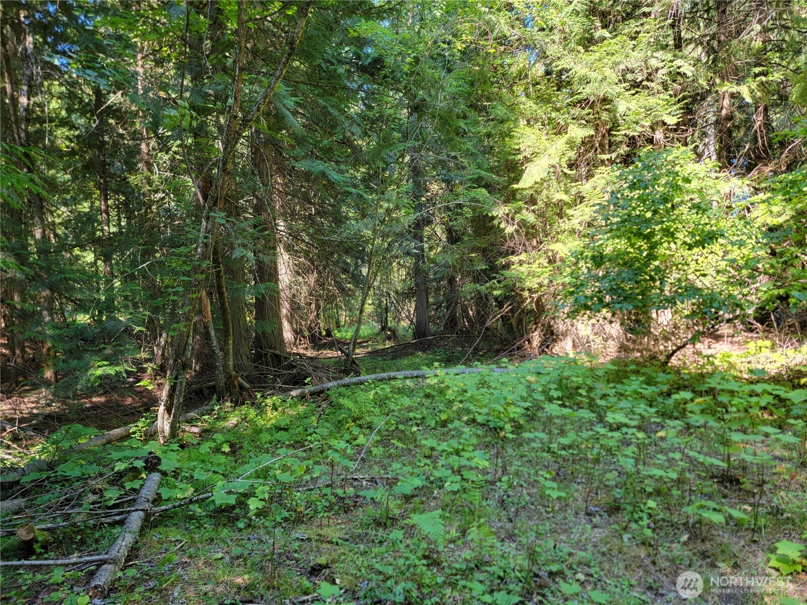 9999 Lone Ranch Road Danville WA 99121