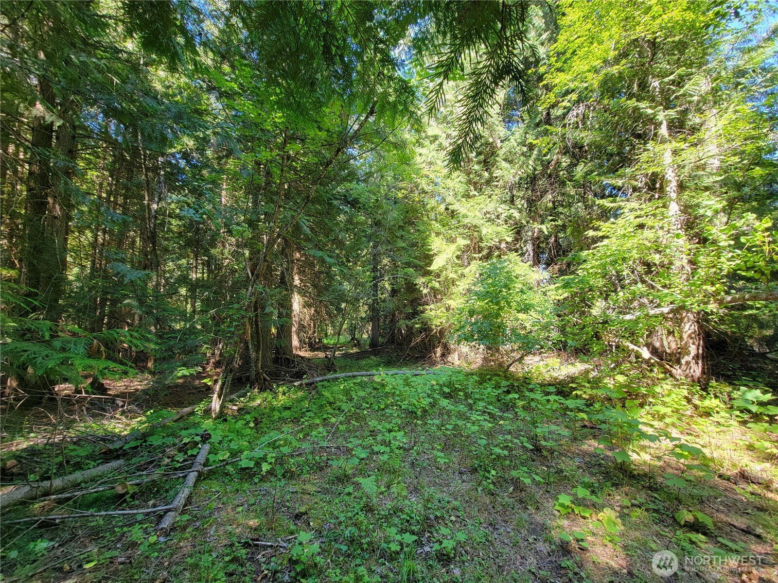 9999 Lone Ranch Road Danville WA 99121