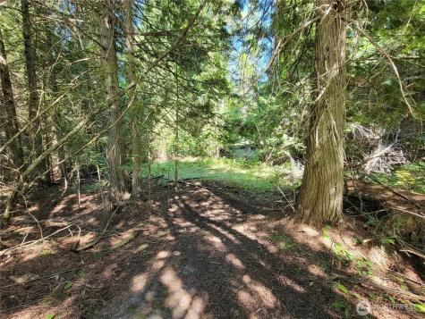 9999 Lone Ranch Road Danville WA 99121