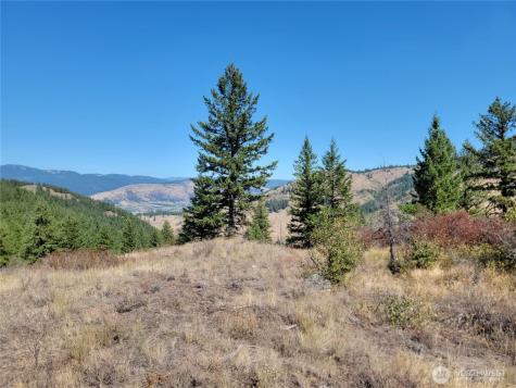 9999 Lone Ranch Road Danville WA 99121