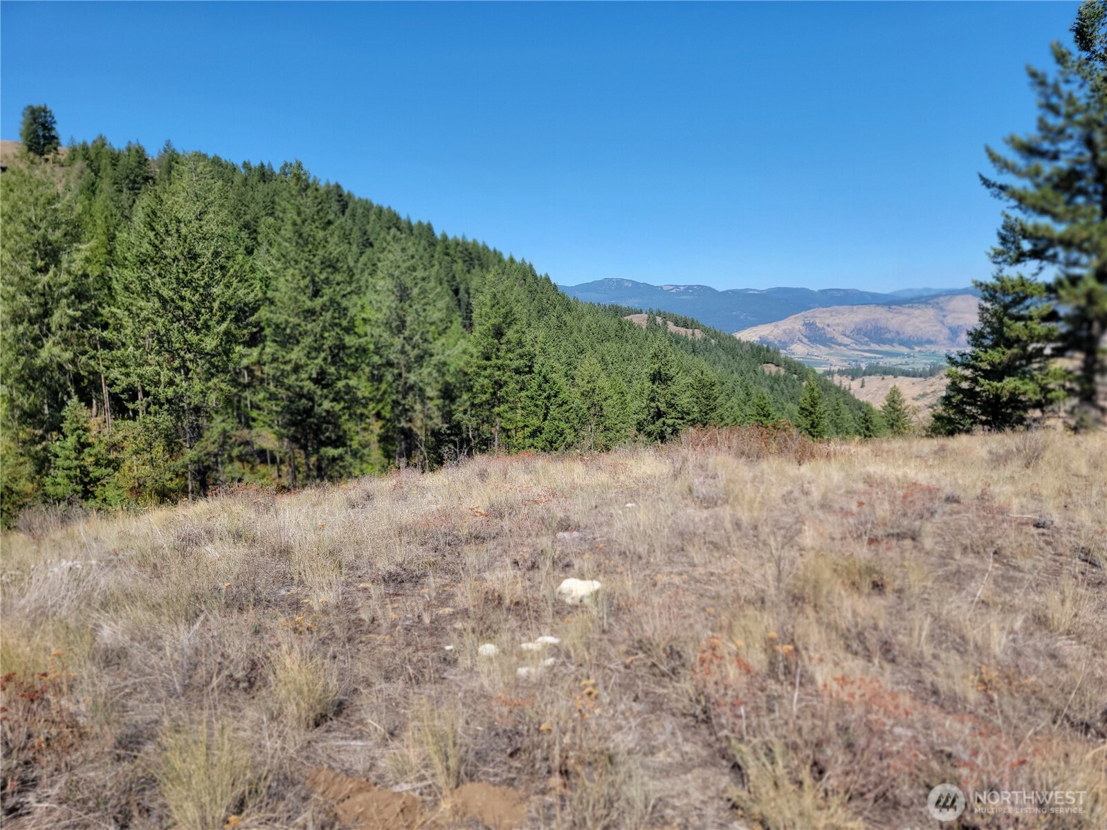 9999 Lone Ranch Road Danville WA 99121
