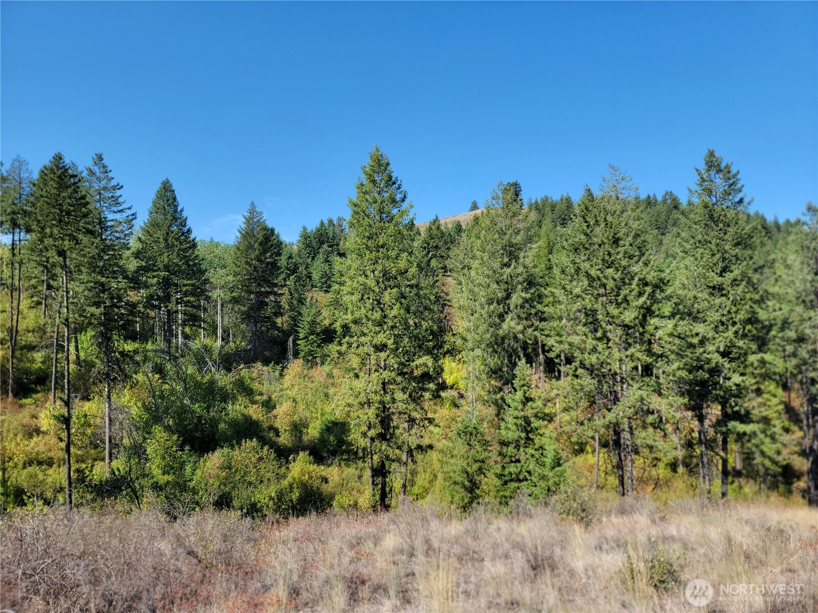 9999 Lone Ranch Road Danville WA 99121
