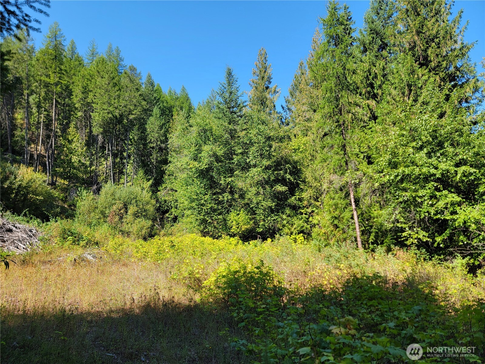 9999 Lone Ranch Road Danville WA 99121