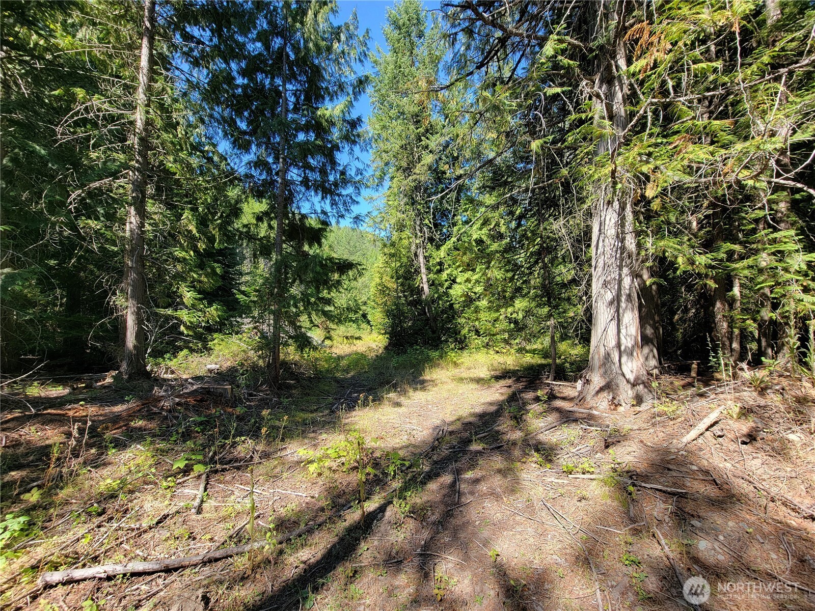 9999 Lone Ranch Road Danville WA 99121