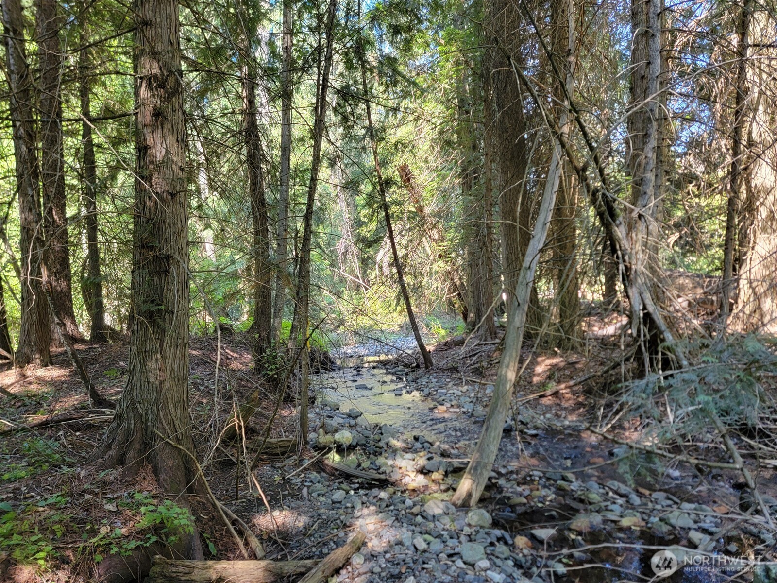 9999 Lone Ranch Road Danville WA 99121