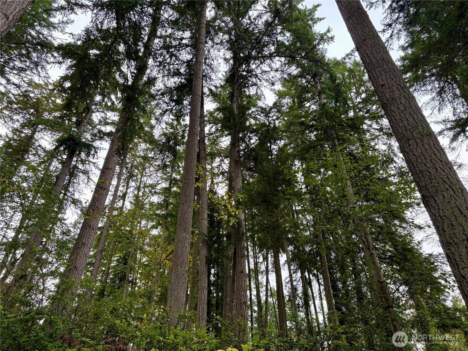 0 Hyak Place Fox Island WA 98333