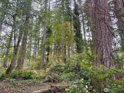 0 Hyak Place Fox Island WA 98333