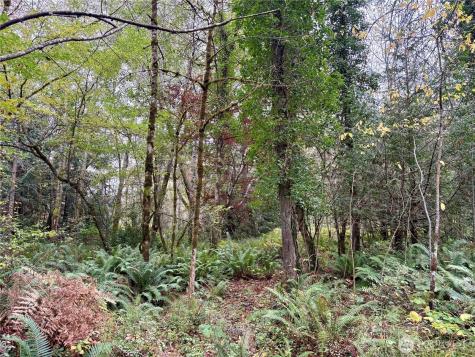 0 Hyak Place Fox Island WA 98333