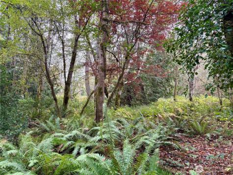 0 Hyak Place Fox Island WA 98333