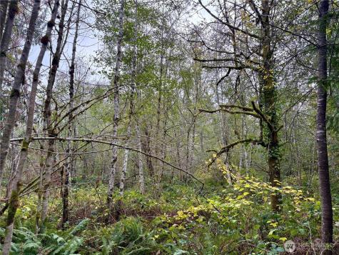 0 Hyak Place Fox Island WA 98333