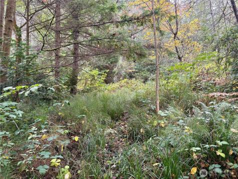 0 Hyak Place Fox Island WA 98333