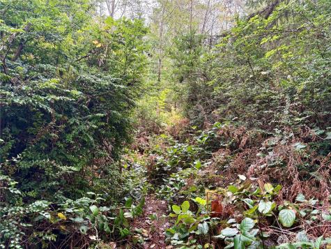 0 Hyak Place Fox Island WA 98333