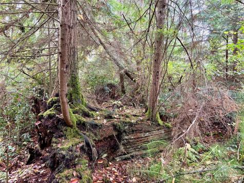 0 Hyak Place Fox Island WA 98333