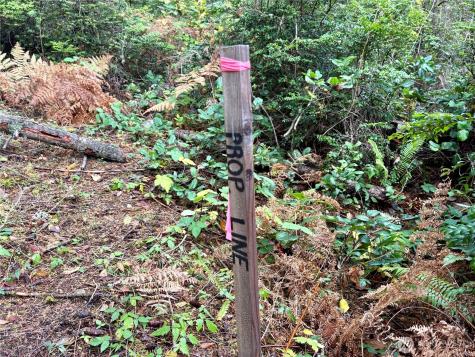 0 Hyak Place Fox Island WA 98333