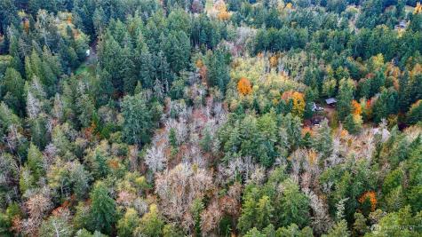 0 Hyak Place Fox Island WA 98333