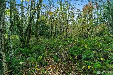 0 Hyak Place Fox Island WA 98333