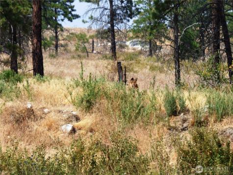 0 Mountain Point Road Brewster WA 98812