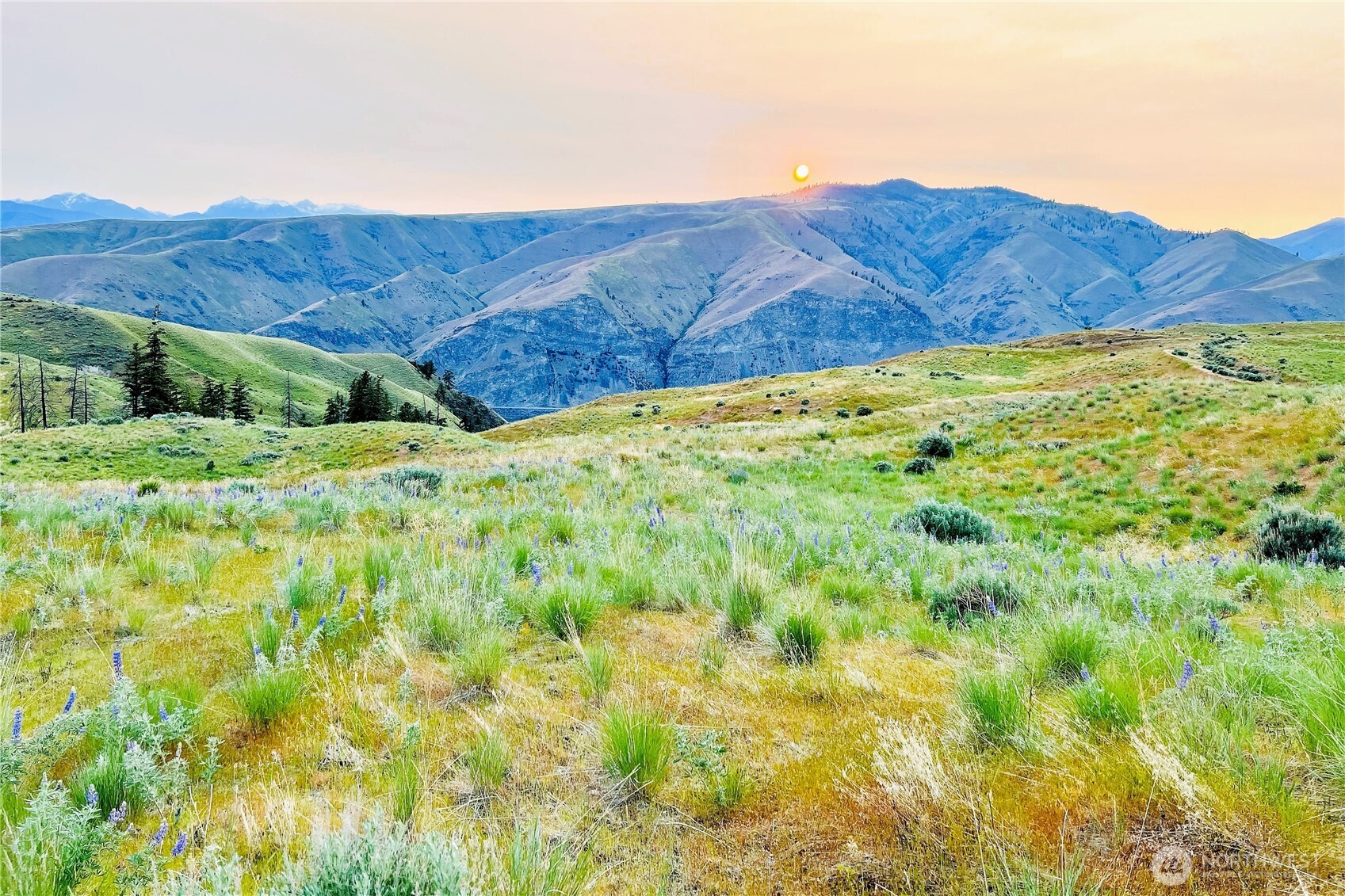 8 Blue Grade Road East Wenatchee WA 98802