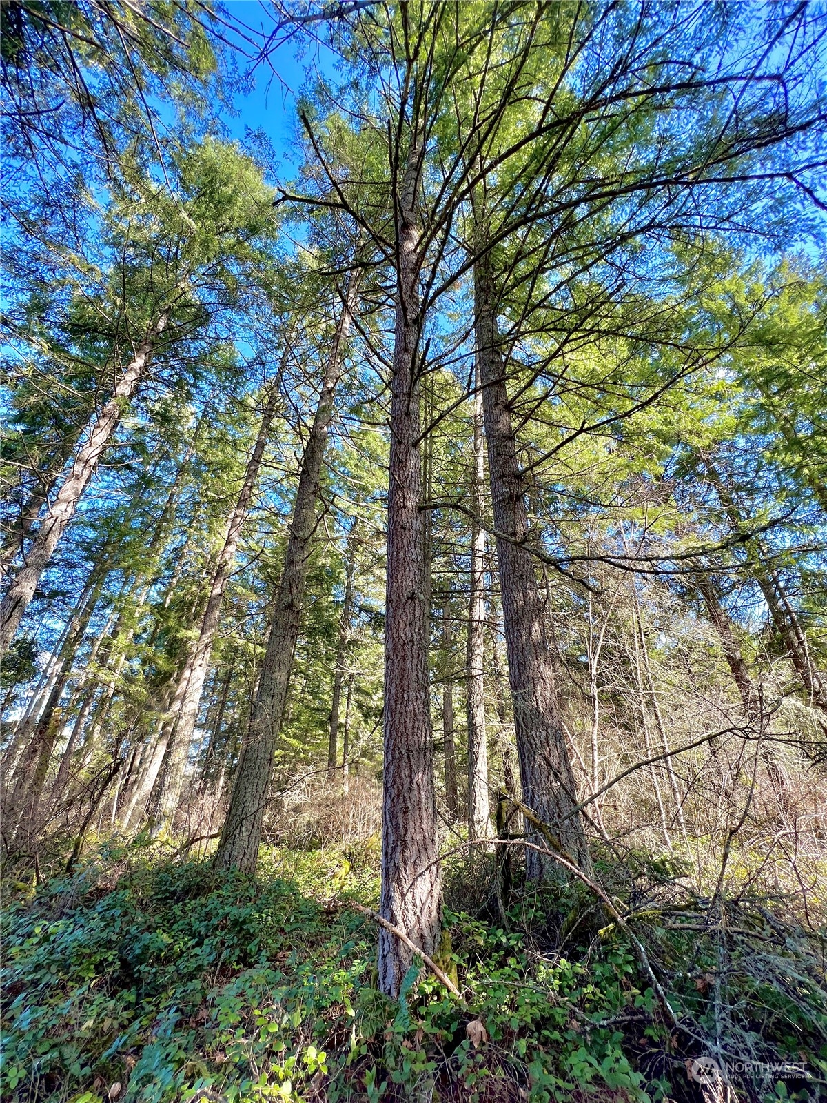 12631 200th Street E Graham WA 98338