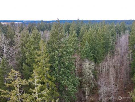 12631 200th Street E Graham WA 98338