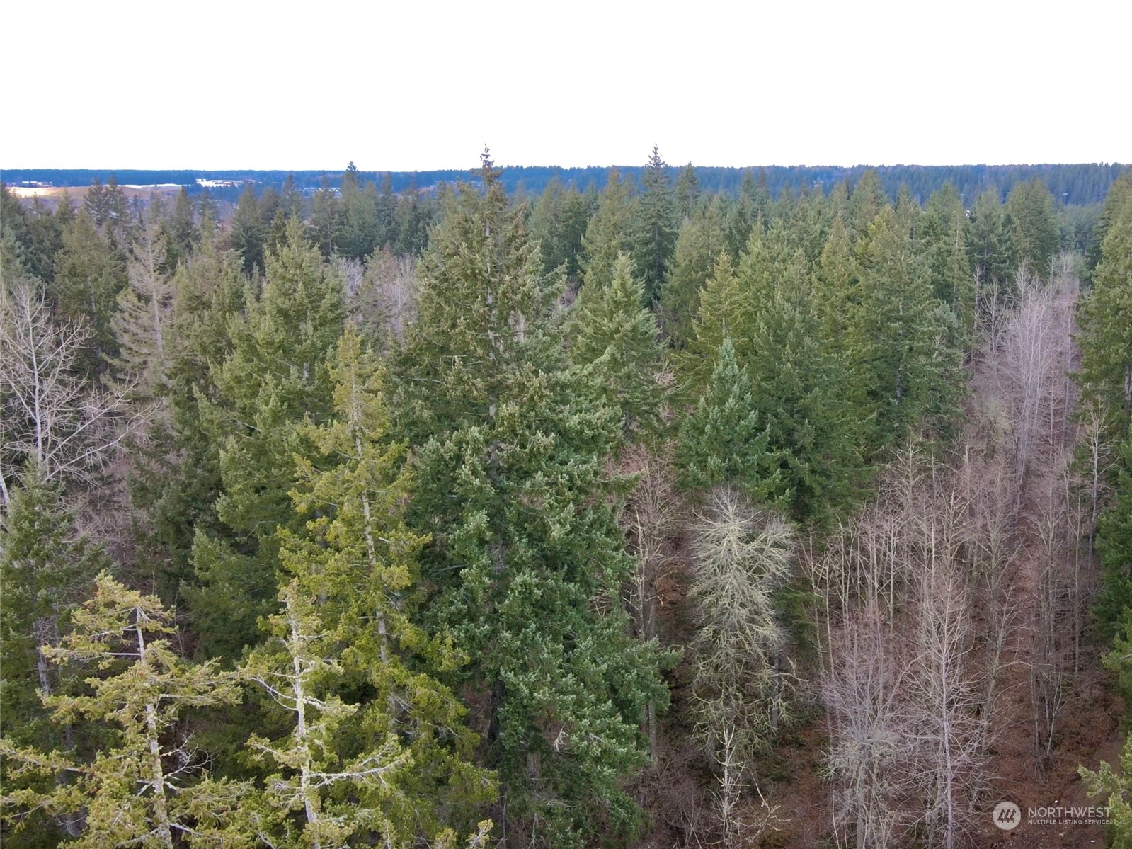 12631 200th Street E Graham WA 98338
