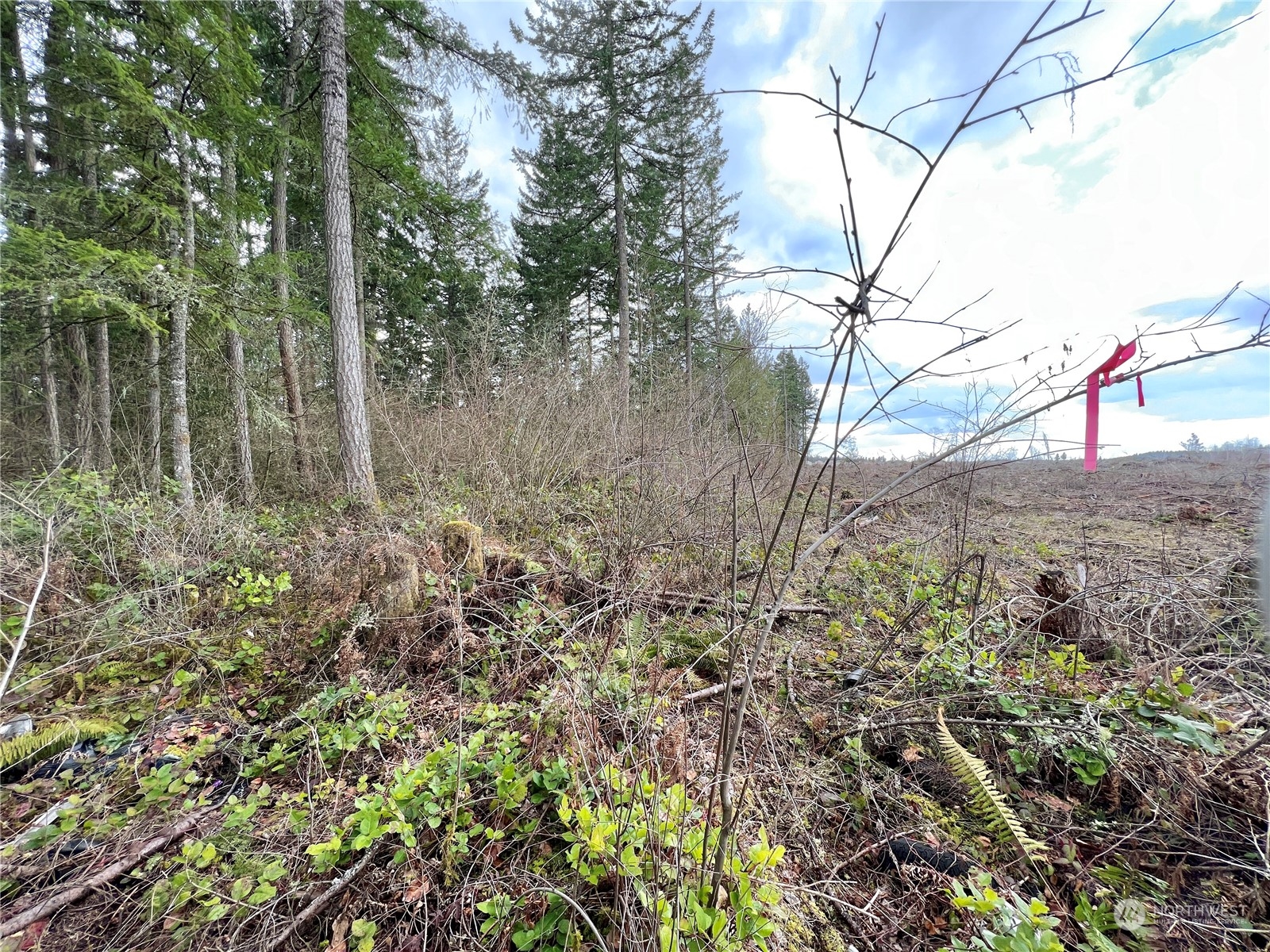 12631 200th Street E Graham WA 98338