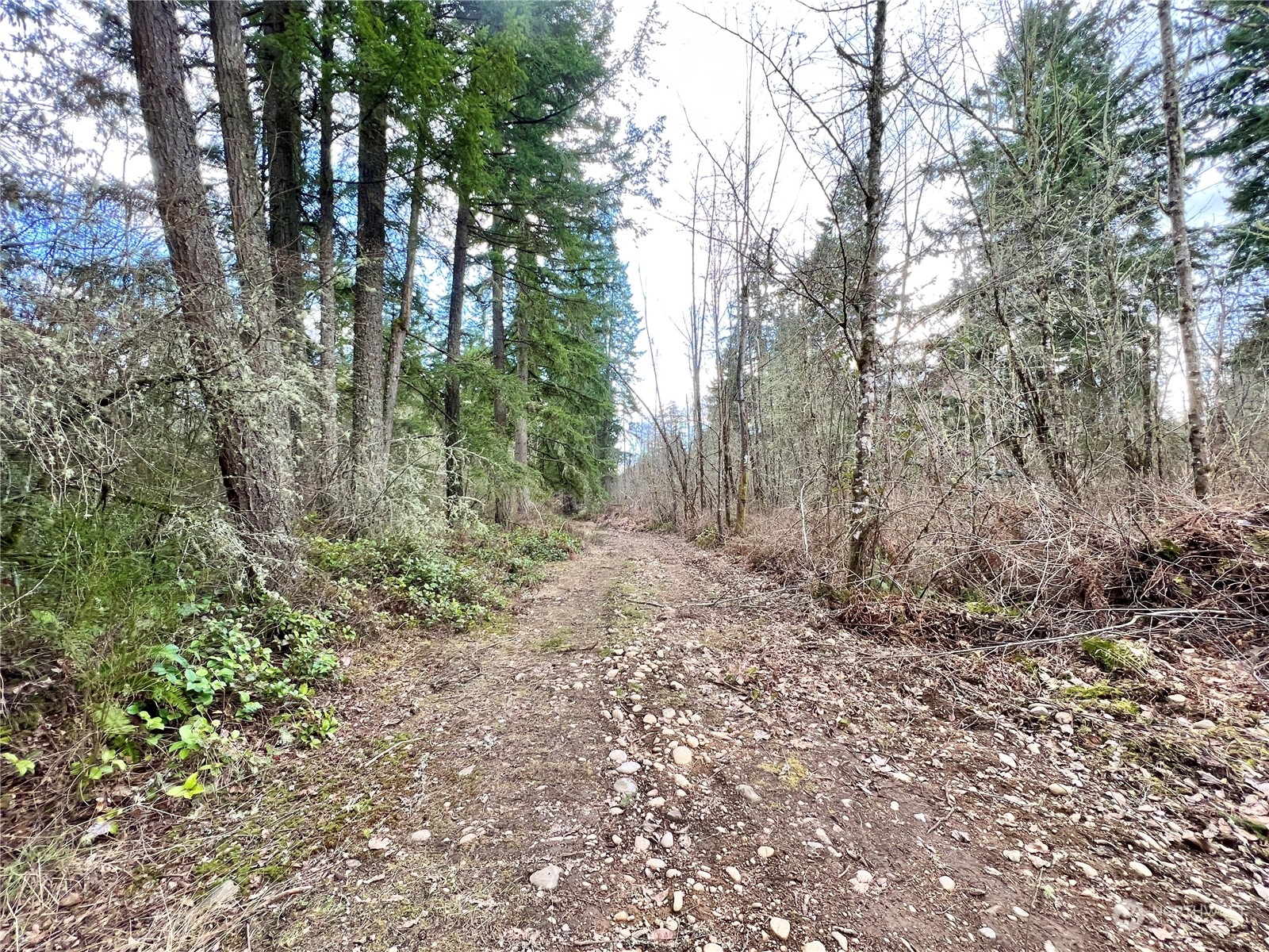12631 200th Street E Graham WA 98338