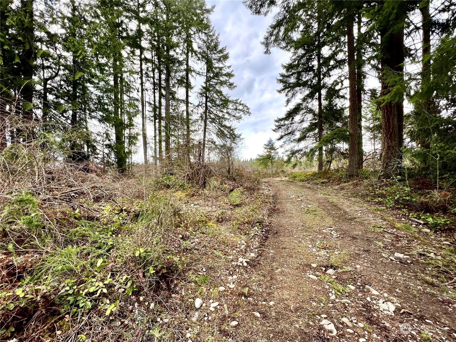 12631 200th Street E Graham WA 98338