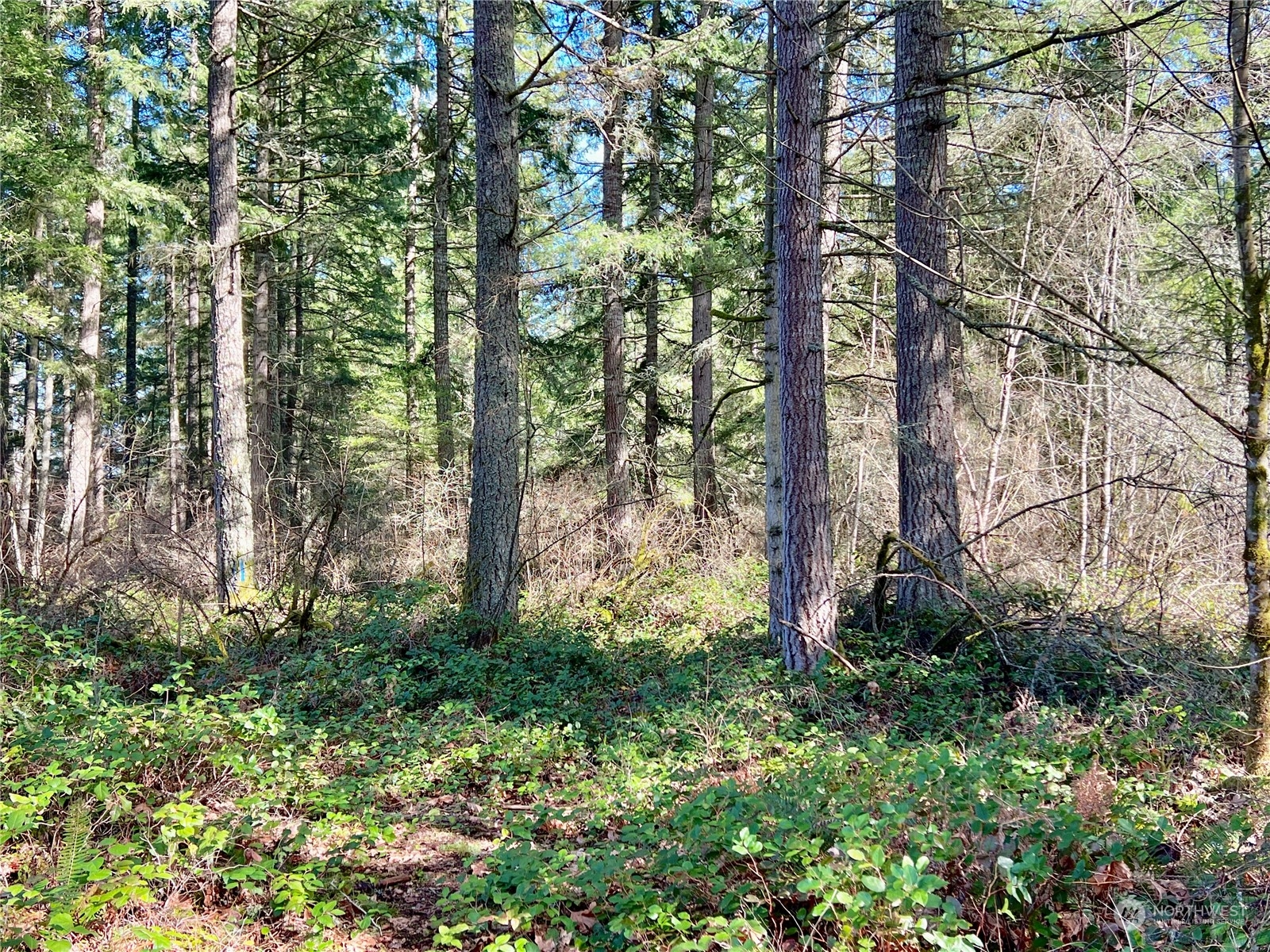 12631 200th Street E Graham WA 98338
