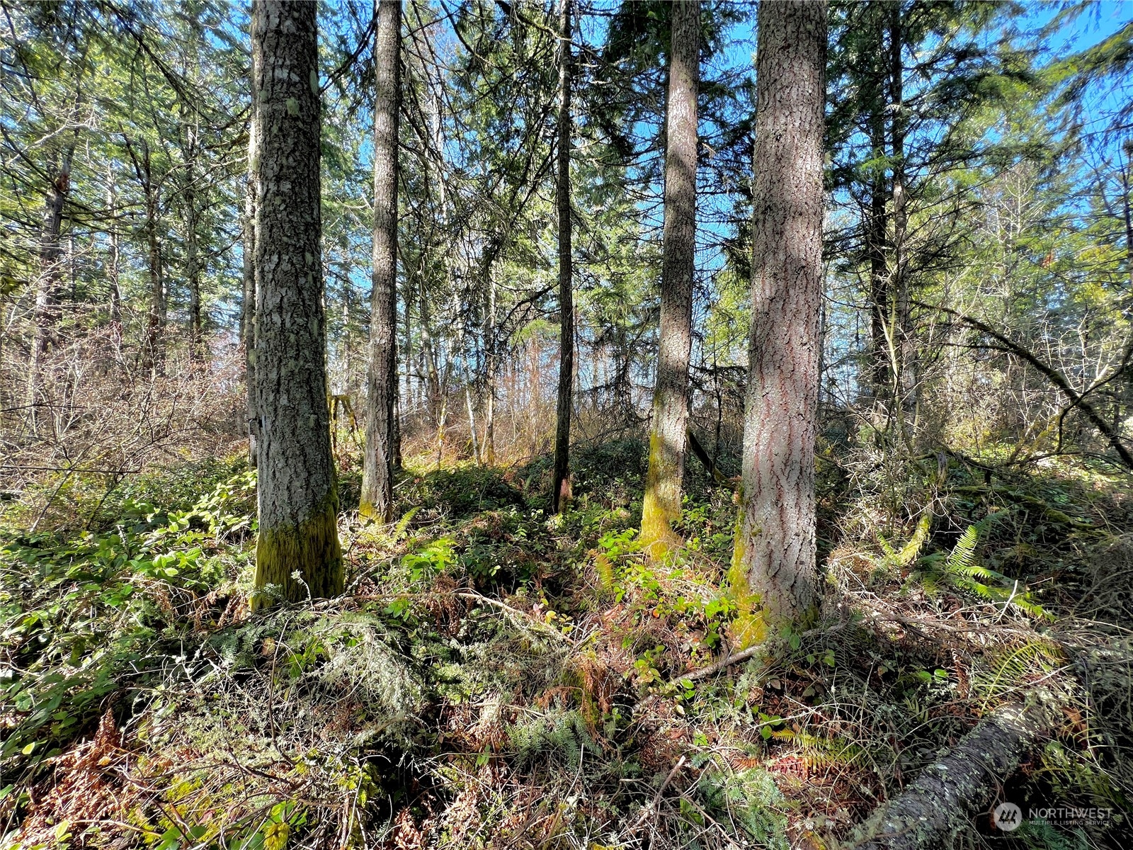 12631 200th Street E Graham WA 98338