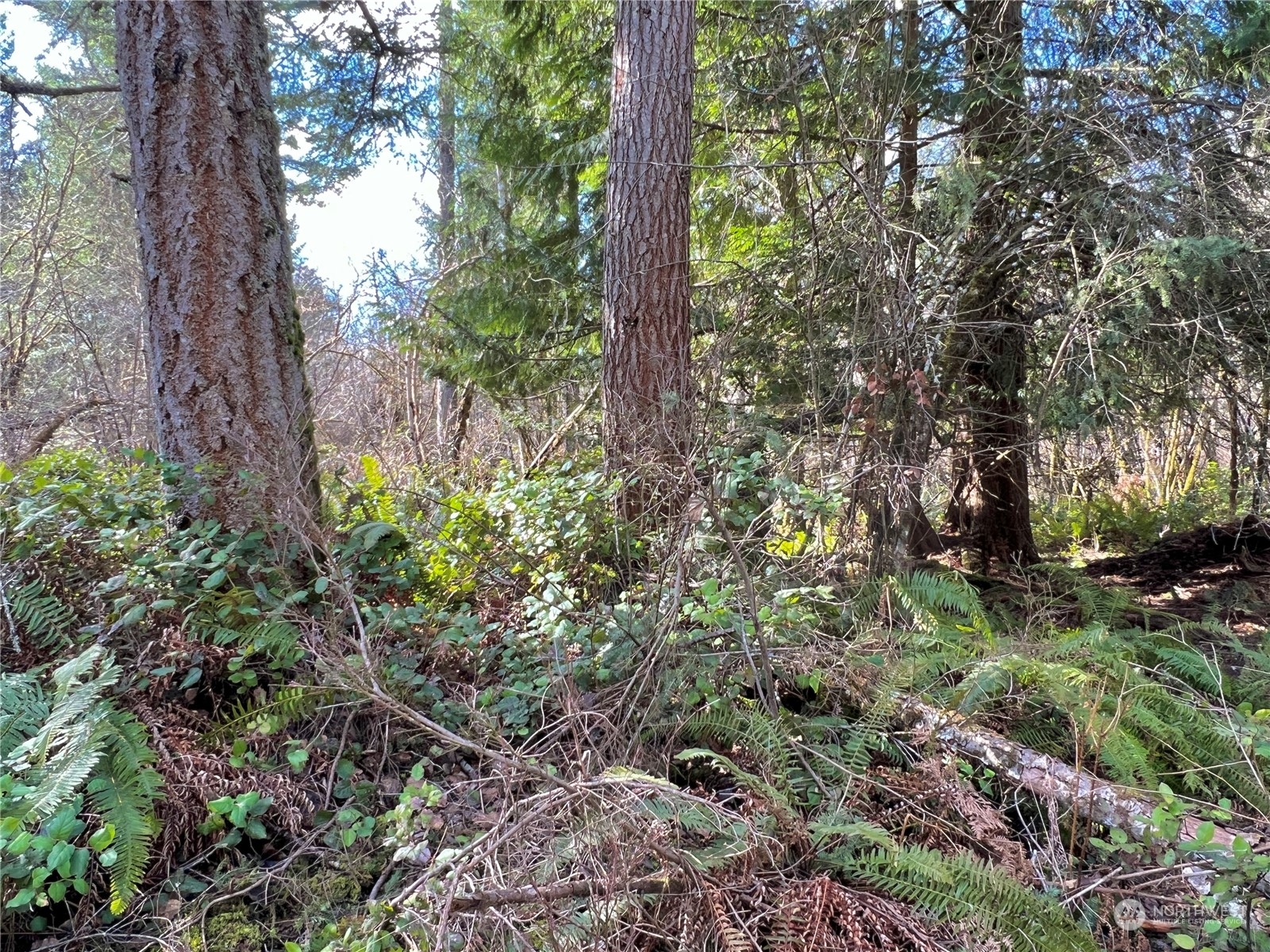 12631 200th Street E Graham WA 98338