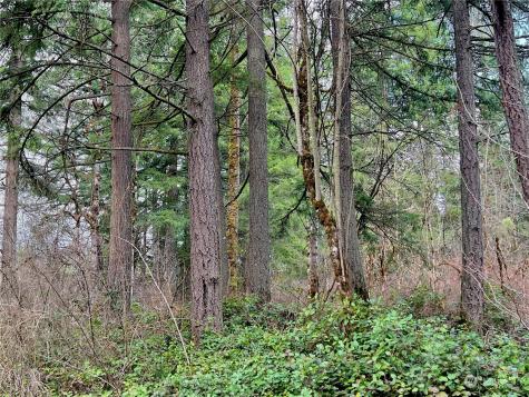 12631 200th Street E Graham WA 98338