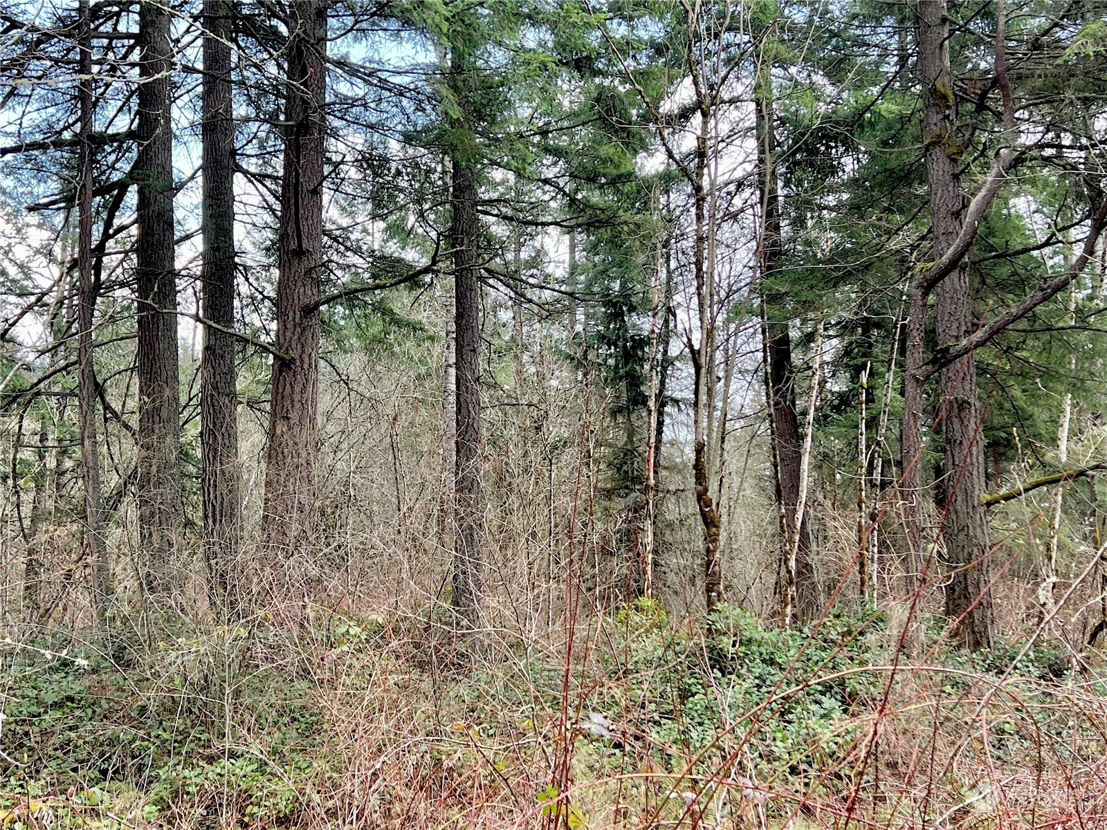 12631 200th Street E Graham WA 98338