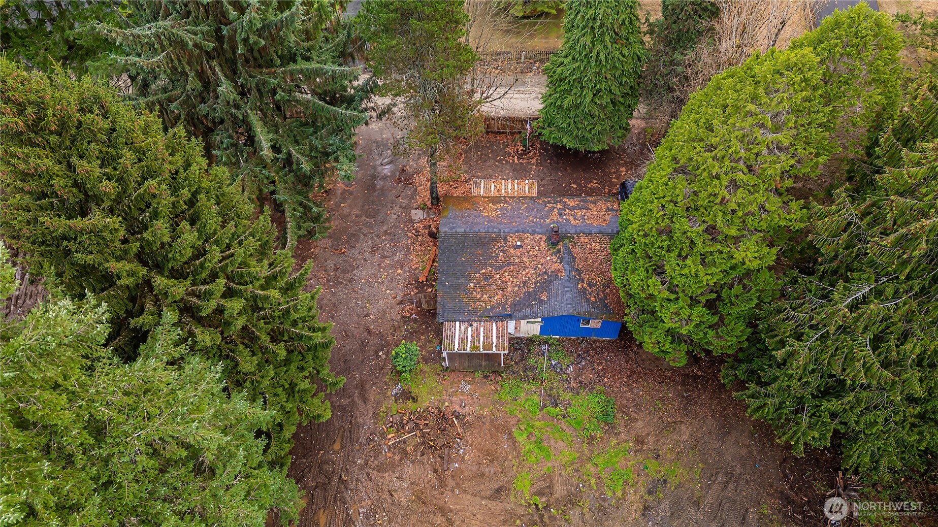 3502 40th Avenue SE Olympia WA 98501