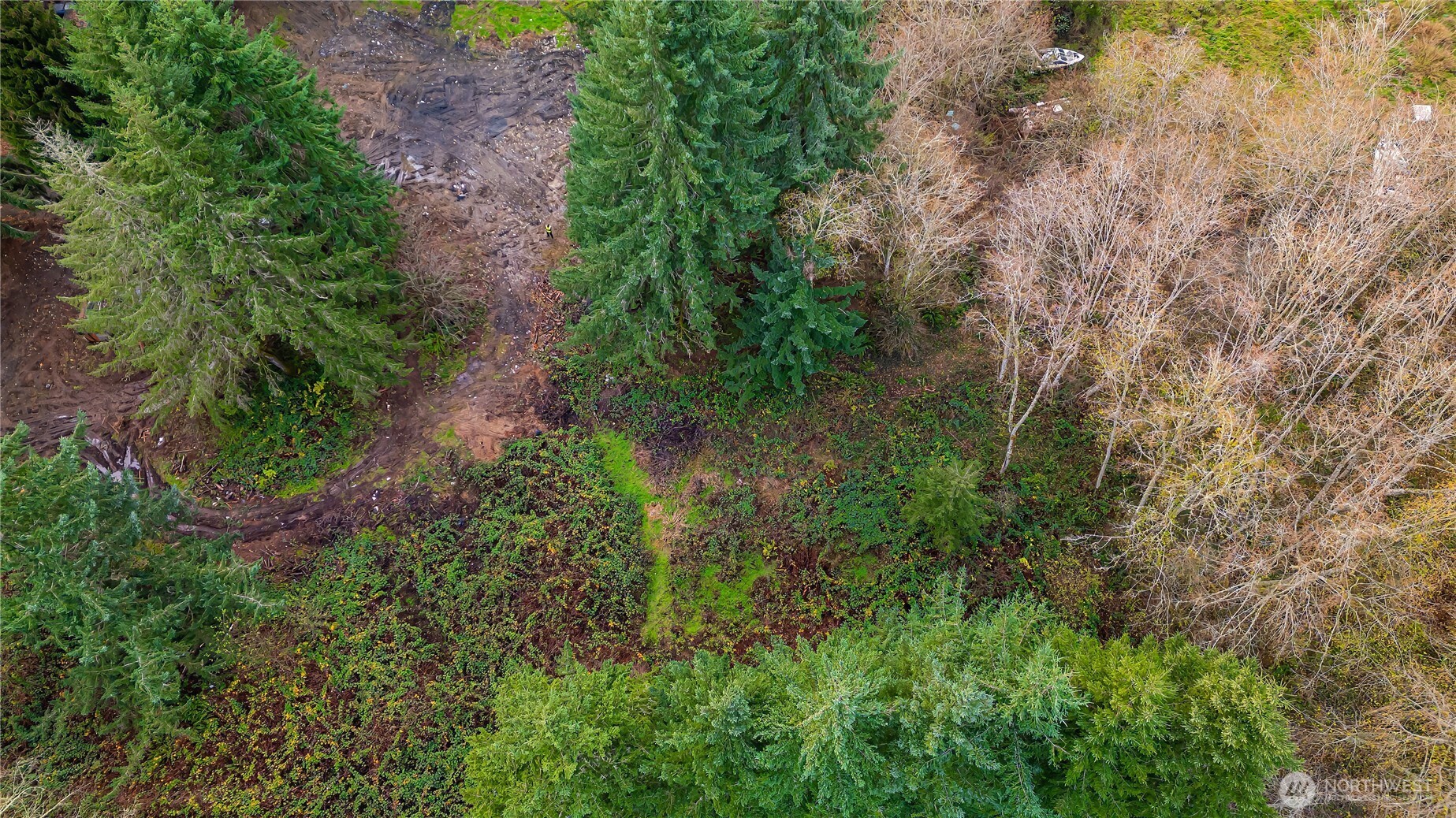 3502 40th Avenue SE Olympia WA 98501