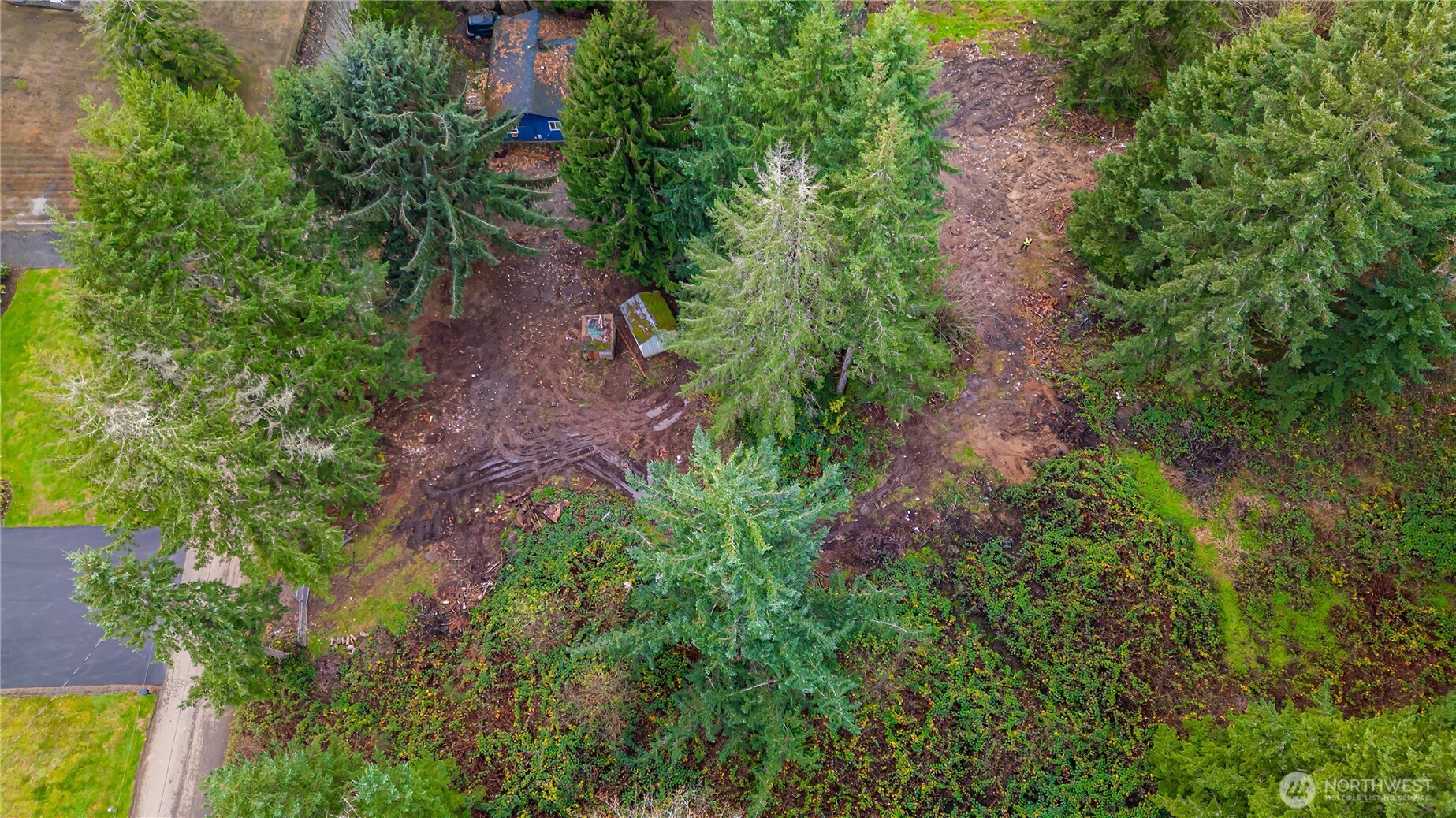 3502 40th Avenue SE Olympia WA 98501