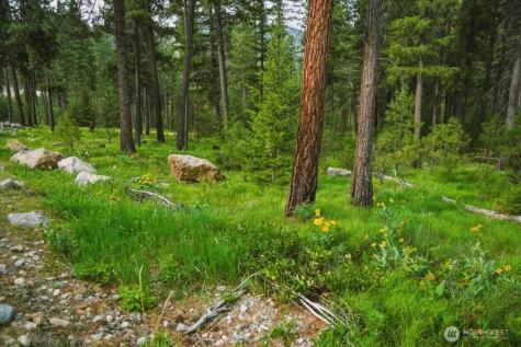 4 Lot Mossback Lane Entiat WA 98822