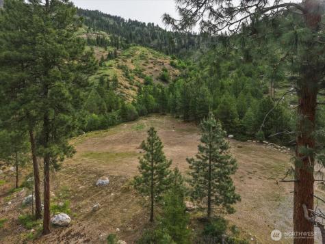 4 Lot Mossback Lane Entiat WA 98822