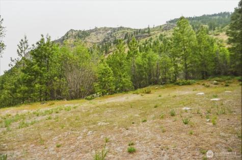 4 Lot Mossback Lane Entiat WA 98822