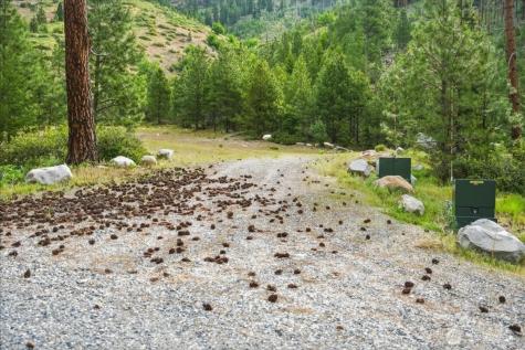 4 Lot Mossback Lane Entiat WA 98822