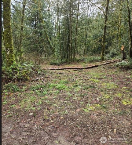 13160 Shady Glen Olalla WA 98359