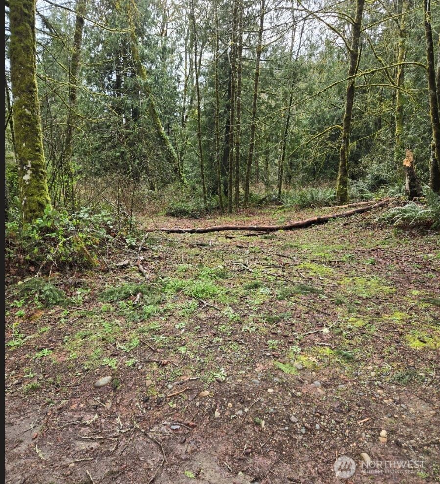 13160 Shady Glen Avenue SE Olalla WA 98359