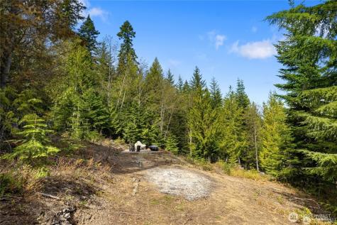 131 Basin Creek Way Cle Elum WA 98922