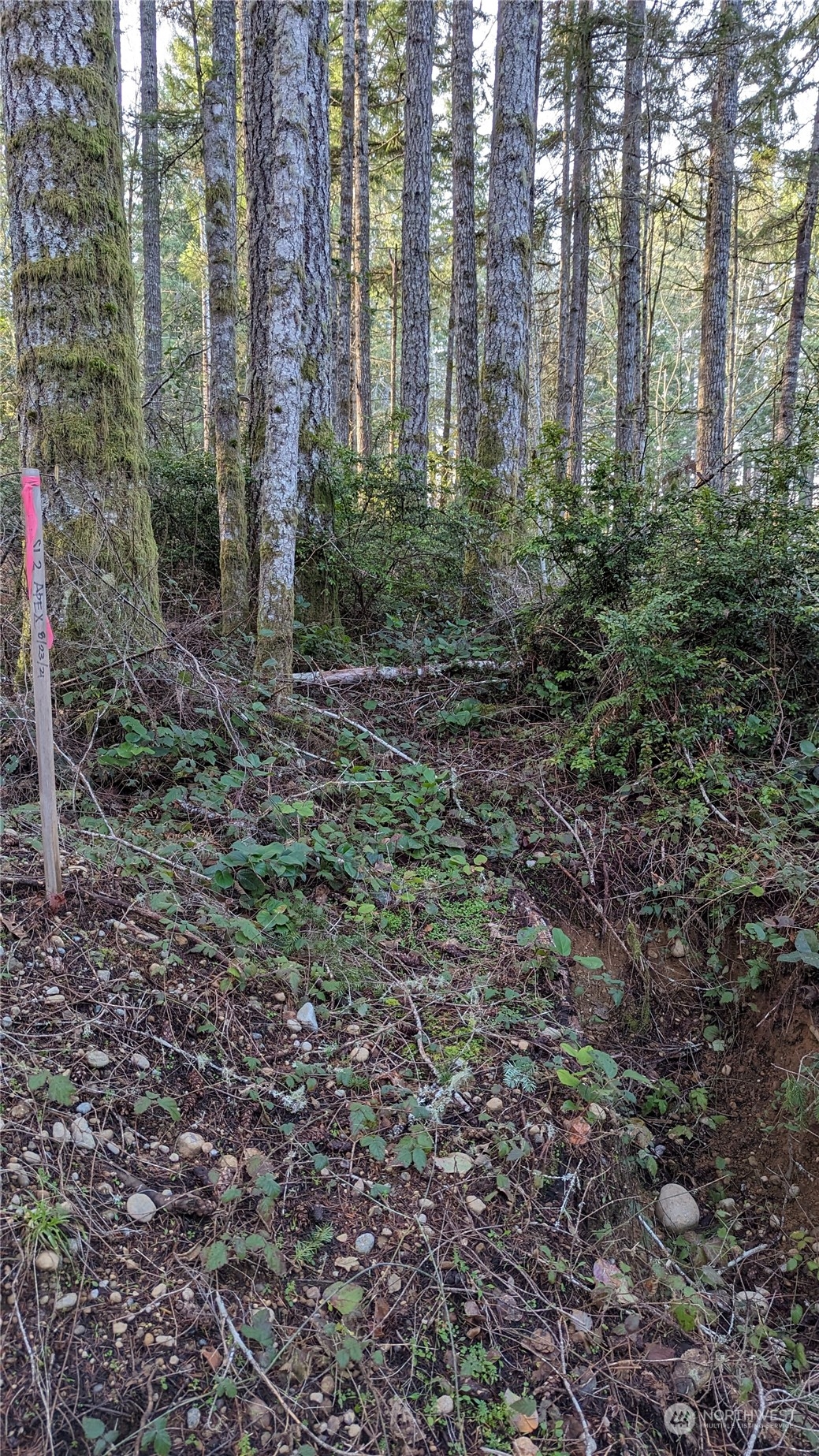 0 Lackey Road NW Vaughn WA 98394